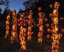 Fall Family Fun